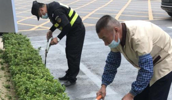 园林绿化养护服务